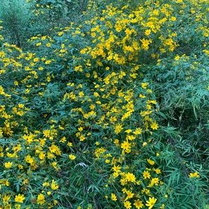 Meet your Posher, Kaitlin